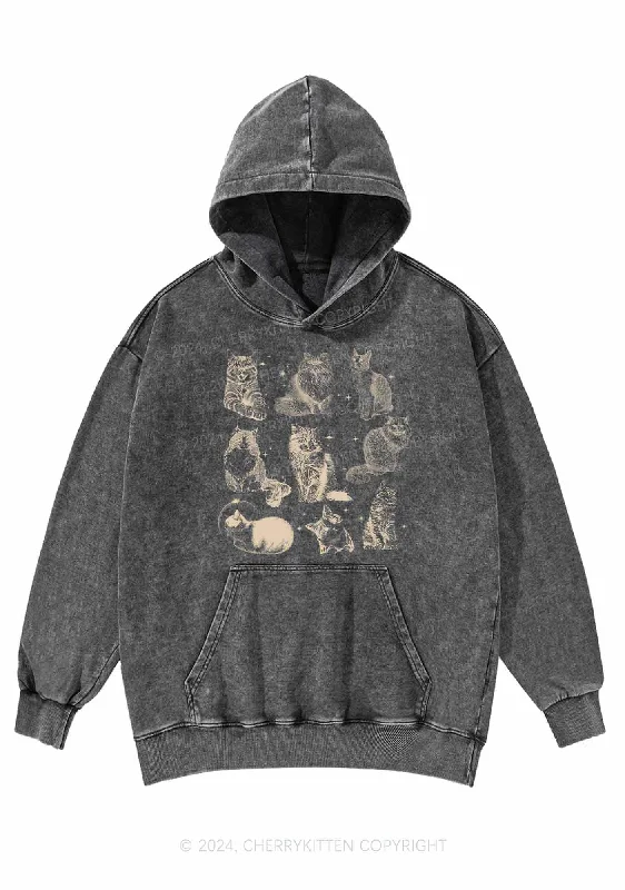 Retro Kitten Y2K Washed Hoodie Cherrykitten Vintage Women's 1970S 